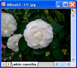 ImgLevel help English files image004.jpg