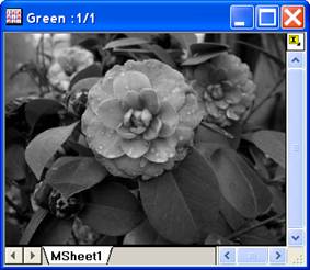 ImgRGBmerge help English files image006.jpg