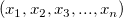 \left (x_1, x_2, x_3, ..., x_n \right ) \left (x_1, x_2, x_3, ..., x_n \right )