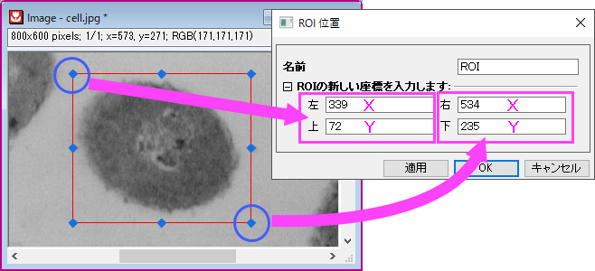 Image window ROI Position.png