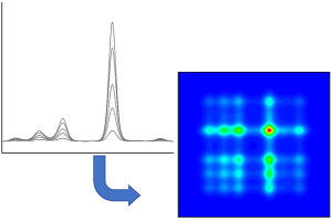 2D Correlation Spectroscopy Analysis