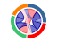 Correlation Chord Diagram