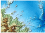 Raised Relief Map