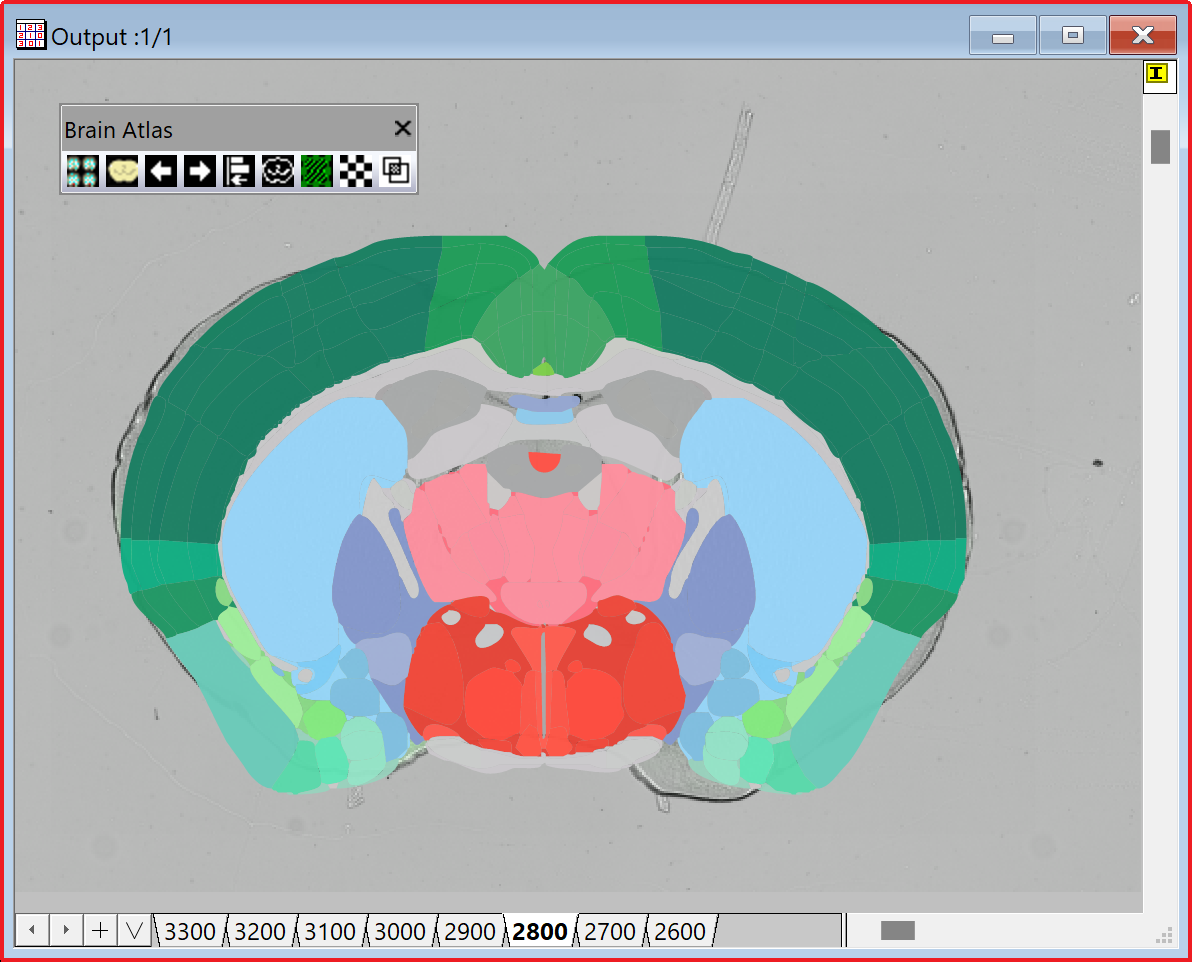 Brain Atlas Analyzer File Exchange OriginLab