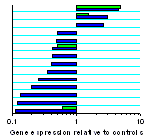 mRNA expression relative to control for two different experimental treatments, plotted as a 2D bar graph with log10 axes.
