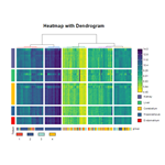 Heatmap with Dendrogram