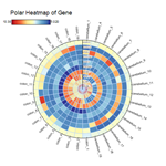 Polar Heatmap