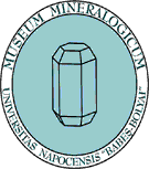 Mineralogical Museum